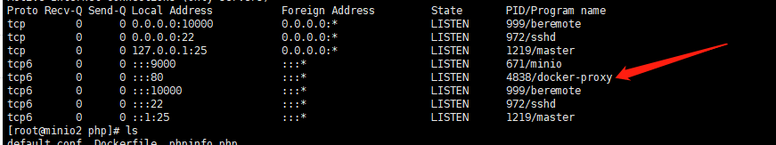 dcoker tcp6端口不通